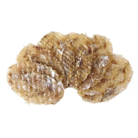 너트리 조미 쥐치포 쥐포 3L사이즈 특대 1kg (18~19미)