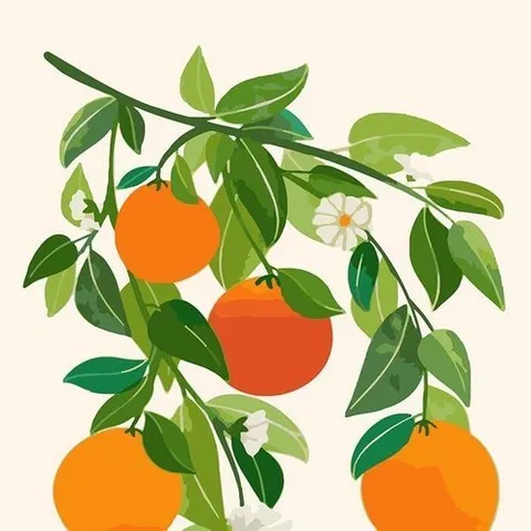 셀러허브 패션 [QN3S7VB1_56]DIY 유화그리기 세트 유화그림 나무 40x50