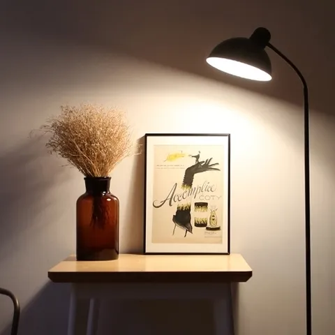 홈앤하우스 프란시스 장스탠드 모노