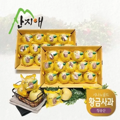 기타 산지애 황금사과 시나노골드 3kg 2box / 중과, 청송산 , 당도선별 12brix