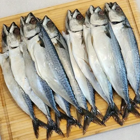 셀러허브 식품 대짜 부산 간고등어 10미 2.7kg 내외 다대포고등어 참고등어 부산 자반고등어 냉동고 (48074317)