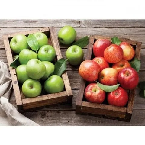 셀러허브 패션 [JHQSTB7N_51C5]빨간사과 1000피스퍼즐 풋사과와 빨간사과