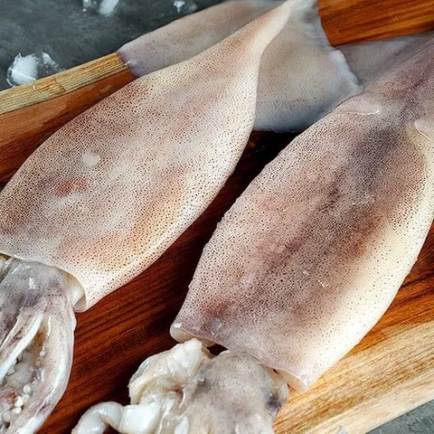 지투지샵 손질 오징어 500g 4팩