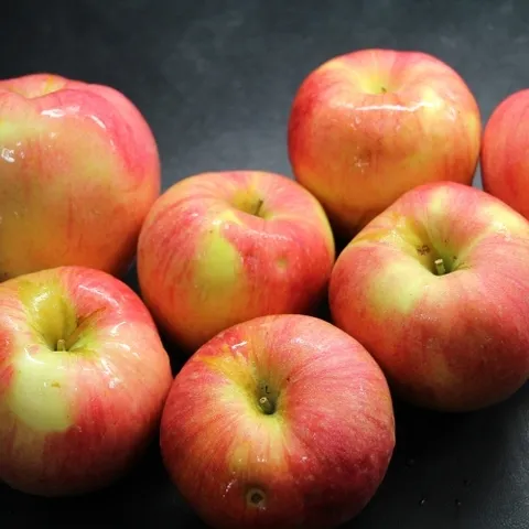 절과당 [산지직송] 유명산지 경북사과 가정용 햇부사 실중량 9kg 중대과 (18-39과)