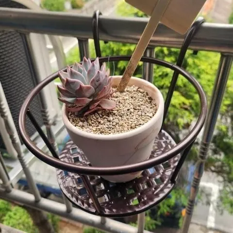 셀러허브 1 베란다 난간 브라운 화분걸이 화분정리대