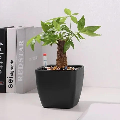 기타 고품질 화초 화분 저면관수 다육이급수 자동화분 화분자동급수화분 거실화분 네모화분 WFHRQG4