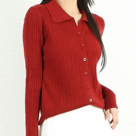 파라노말샵 6색 꽈배기 버튼 카라 슬림 니트티 (파라노말샵)