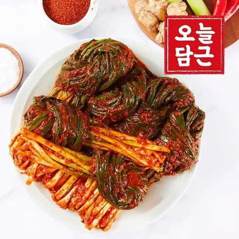 오늘담근 전라도 파김치 3kg