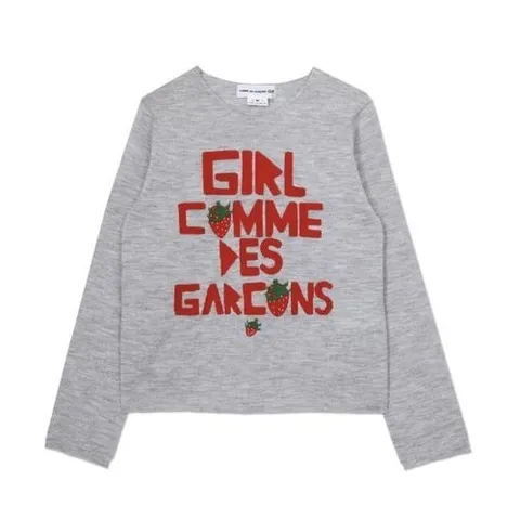 꼼데가르송 26SS 꼼데가르송 스웨터 NQ N002 S26 2 GREY DOM