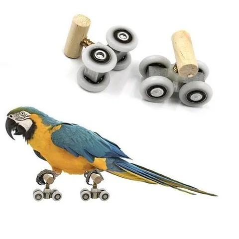 셀러허브 1 SFW 앵무새 롤러스케이트