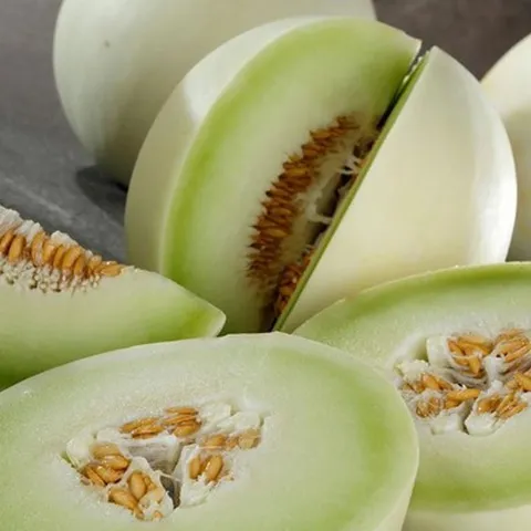 고당도미국산허니듀멜론3kg내외1수허니듀메론고당도멜론한박스허니멜론하얀메론허니메론