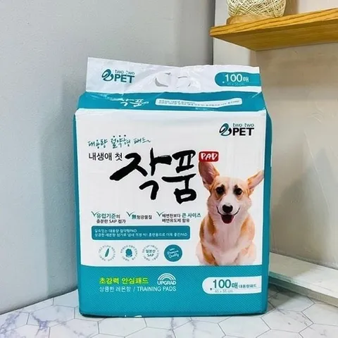 첫 패드100매 작품 내생에