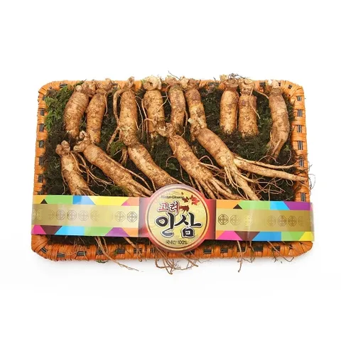 [고려인삼] 햇수삼 선물 세트 실속형 650g (약 14~15뿌리)