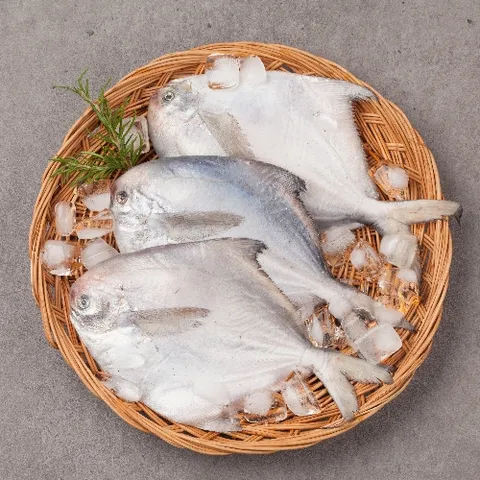 [햇병어] 국내산 자연산 은병어 10미(미당 120g 이상)