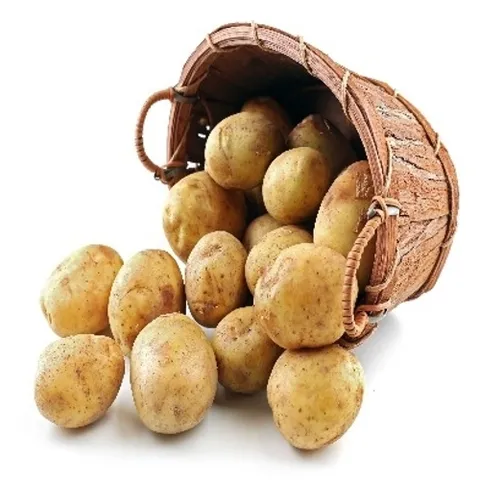 [자연품애] 햇감자 5kg 조림용