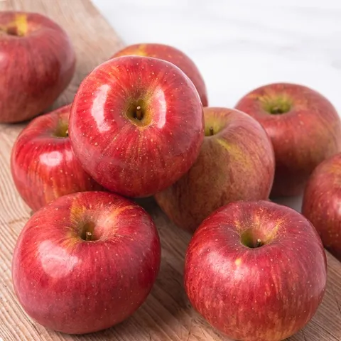 [자연품애] 가정용 사과 4.5kg 중대과