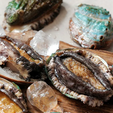 완도활전복 왕특대 11미(미당 100~120g) 산지직송 산소포장