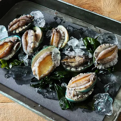 완도 도톰한입활전복 1.2kg+손질 도구 1개