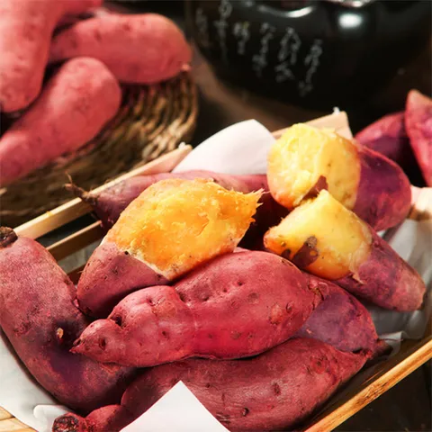 국내산 황토 꿀밤 고구마 3kg 중(50-100g내외)