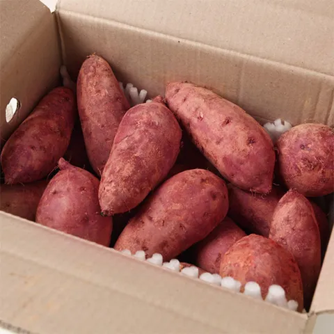 국내산 황토 꿀밤 고구마 3kg 특상(100-300g내외) 