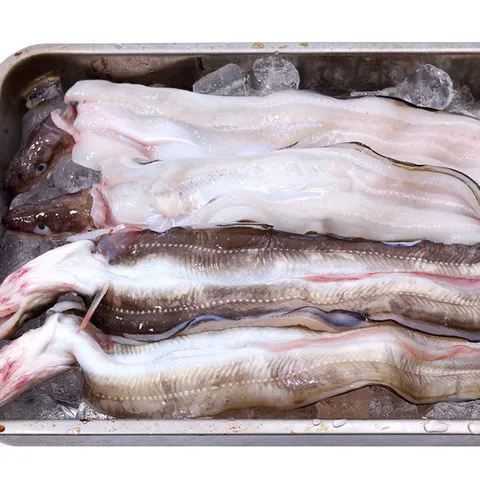 자연산 바다장어 1kg(4~6미,손질후700g내외)