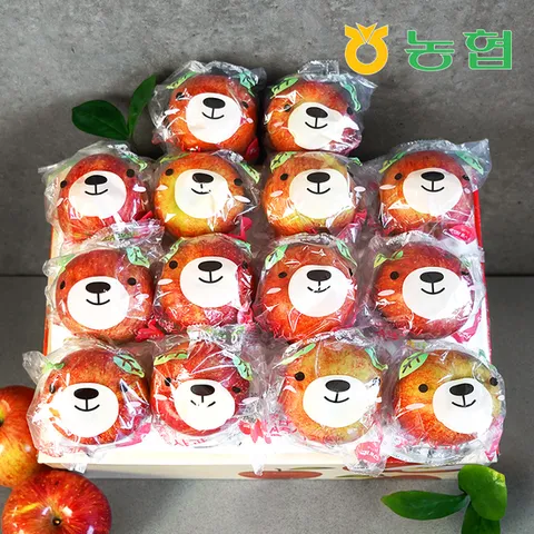 [농협] 아삭달콤 안동 세척사과 정품 2.5kg (16과내)