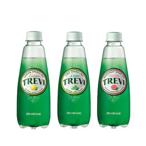 롯데칠성음료 트레비 300ml x 20개 SD