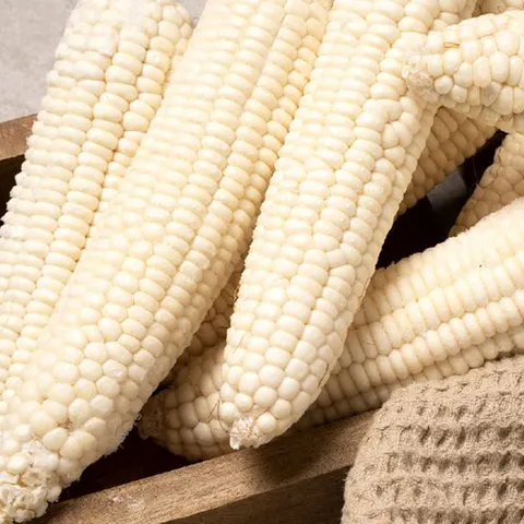 강원도 냉동 찰 옥수수 5개입×2봉
