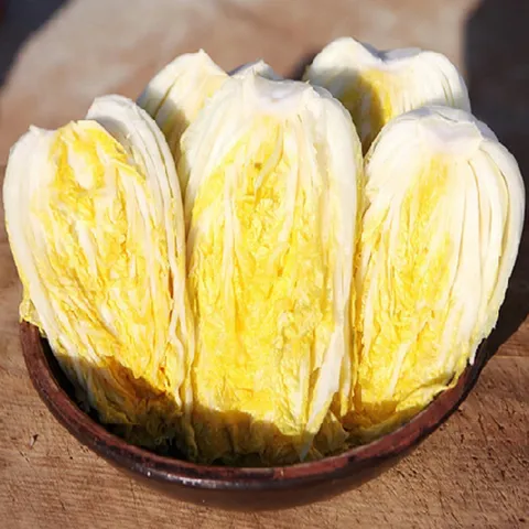 [산해직송]해남 절임배추 20kg 김장 절인배추