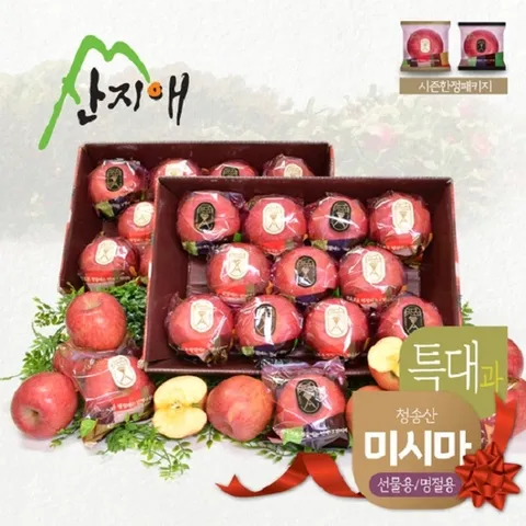 산지애 씻어나온 꿀사과 4kg 2box (특대과) / 청송산 미시마 , 당도선별