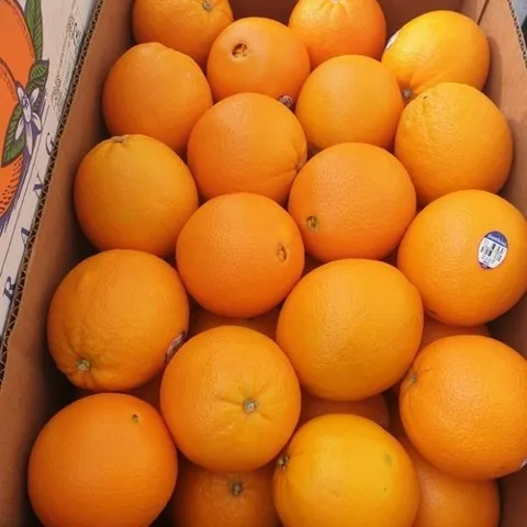 블랙라벨 달콤 한 고당도  오렌지 중대과 5kg