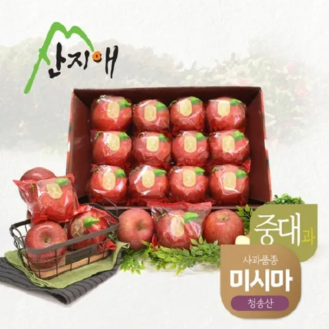 산지애 씻어나온 꿀사과 3kg 1box (중대과) / 청송산 미시마 당도선별