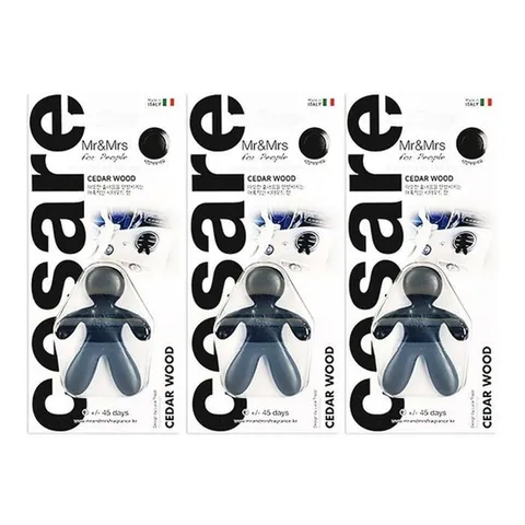 미스터앤미세스 체사레 차량용 방향제 3개 블랙