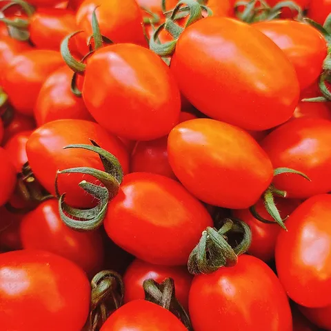 [통통농장] 국내산 스테비아 방울토마토 1kg이내