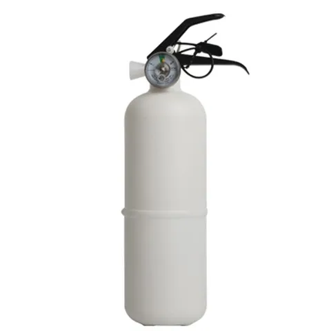 C99 소화기 차량 화재예방 분말 소화기 0.7kg 화이트 (WE68D8C)