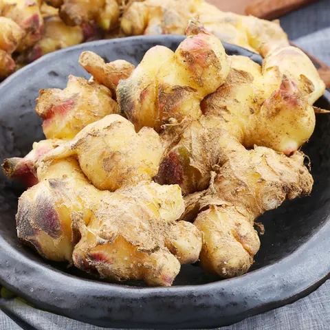 [팔도농장] 서산 태안 햇 생강 특상품 3kg