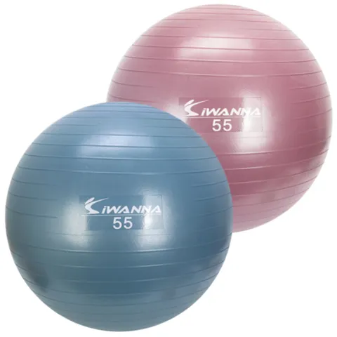 (아이워너) 아이워너안티버스트 짐볼 55cm 2컬러