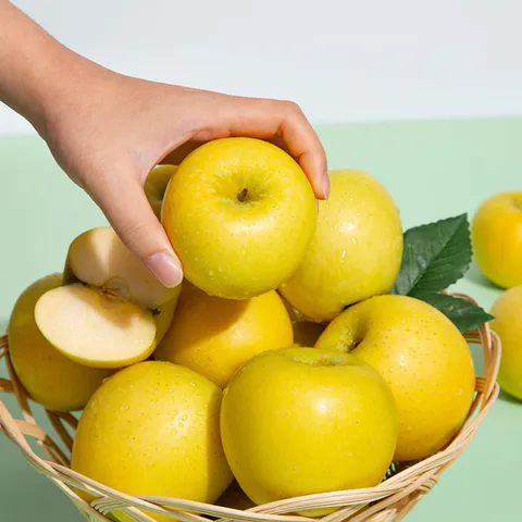 황금사과 시나노골드 가정용 5kg 16-18과