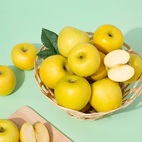 황금사과 시나노골드 가정용 5kg 25-28과