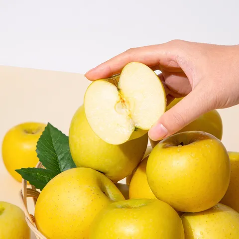 황금사과 시나노골드 가정용 3kg 11-13과