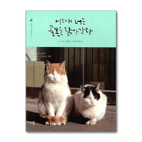 (제이북스) 어느새 너는 골목을 닮아간다 (고양이는 고양이다 2)
