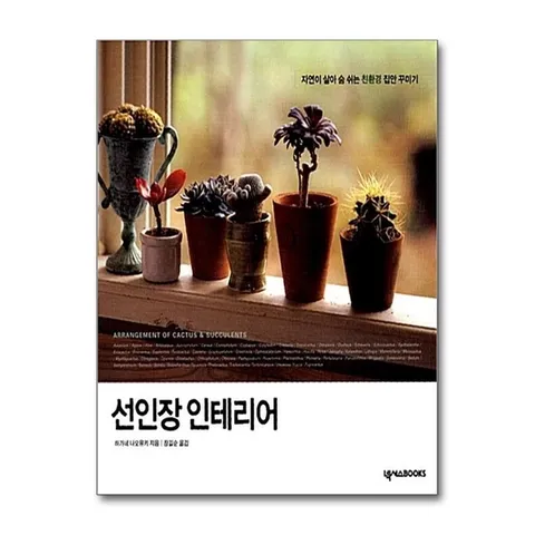 (제이북스) 선인장 인테리어