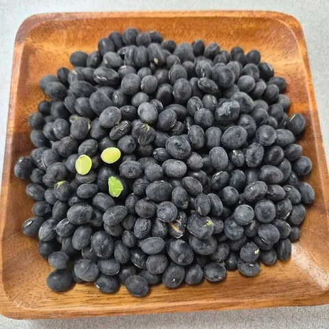 싱싱 국산 서리태 콩 500g 햇 서리태 500g 검은콩 속청 늦서리태 검정콩 흑콩 밥에넣는콩