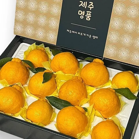 제주 한라봉 선물세트 5kg 9-18과 대과 제주 할라봉 제주도 한라봉 한박스 노지한라봉 하우스한라봉