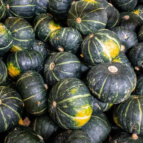 부드럽고 달콤한 단호박 10kg