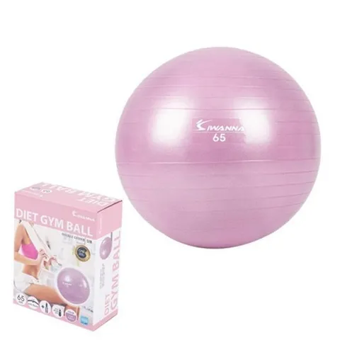 (비바데이) VT-HY 안티버스트 파스텔 짐볼 65cm 라일락 (14096632)