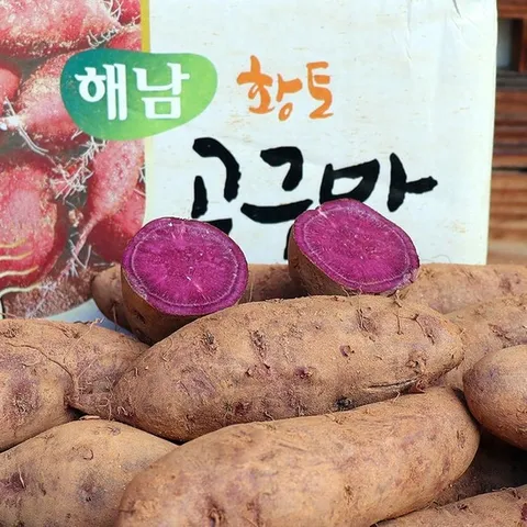 해남 자색 고구마 10kg 한입고구마 20 26년 햇고구마 흙고구마 해남고구마 자주색고구마 생고구마