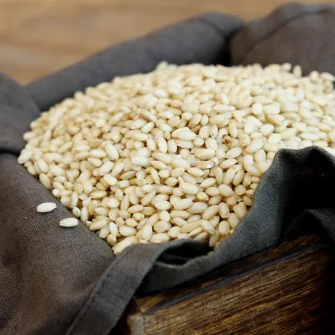 [부지런한농부] 농부의 정성으로 일궈낸 누룽지향 찰현미(설향찰) 1kg