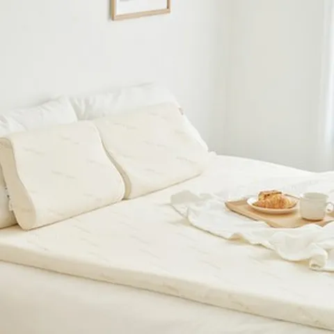 슬립앤슬립 리얼 메모리폼 토퍼