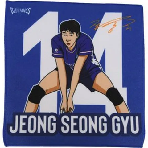 삼성화재 플레이어 일러스트 핸드타월 정성규, 파랑, 1개